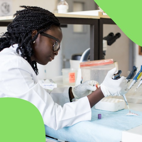 A lab technician wearing safety glasses and gloves uses a pipette to analyze blood samples in a laboratory, supporting malaria research and diagnosis.