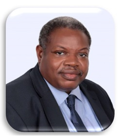 Prof. Olugbenga Mokuolu 